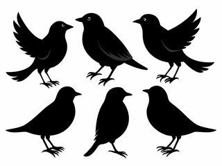 set of silhouettes of birds Vector, isolated black silhouette bird bundle
