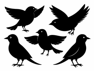 set of silhouettes of birds Vector, isolated black silhouette bird bundle
