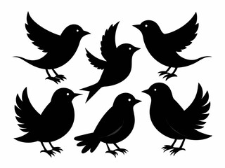 set of silhouettes of birds Vector, isolated black silhouette bird bundle
