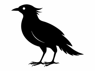 set of silhouettes of birds Vector, isolated black silhouette bird bundle

