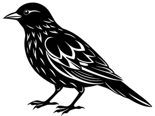 set of silhouettes of birds Vector, isolated black silhouette bird bundle
