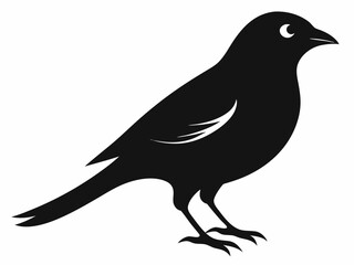 set of silhouettes of birds Vector, isolated black silhouette bird bundle

