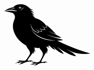 set of silhouettes of birds Vector, isolated black silhouette bird bundle
