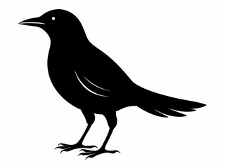 set of silhouettes of birds Vector, isolated black silhouette bird bundle

