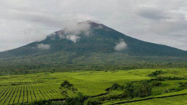 Aerial view of Mount Kerinci and tea estates in the highlands. Tea plantations landscape. Sumatra, Indonesia.