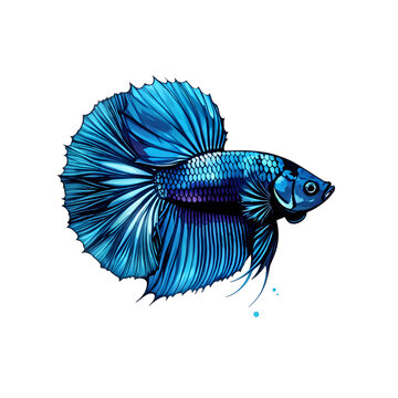 recommend clip art: illustration logo of minimalist outline of a betta fish