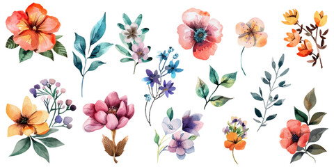 watercolor set of flowers on white background.