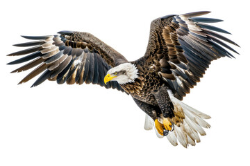 Fototapeta premium An eagle mid-soar, wings wide, isolated on a white background