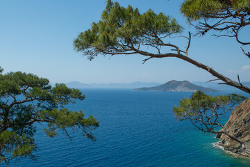 Bay views from green forests. View from the forest to the sea. Magnificent views from the forest to the sea. Magnificent bays of Muğla.