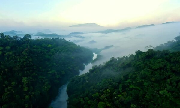 Aerial view of Papua's Lorentz National Park during fog