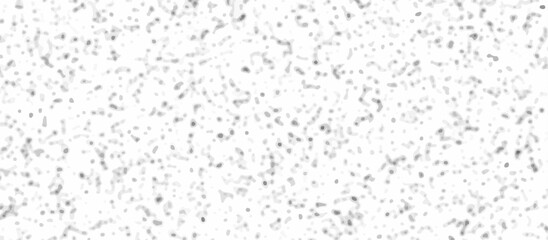 Abstract gray and white quartz terrazzo marble tile background. Terrazzo stone mosaic texture. quartz surface for bathroom or kitchen countertop. marble texture design terrazzo texture.	