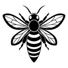 bee head vector illustration