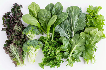 Fototapeta premium A variety of leafy greens arranged on a white background