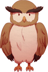 Owl Watercolor Illustration