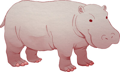 Hippopotamus Watercolor Illustration