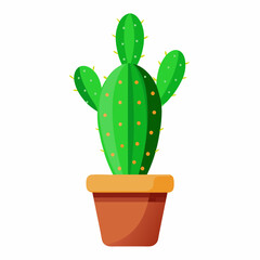 A Cactus tree in a pot on white background