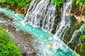 北海道美瑛の白ひげの滝
