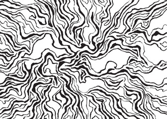 Abstract topographic wave pattern. Black and white vector pattern background