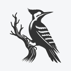 Majestic Woodpecker Silhouette, A Symbol of Nature's Resilience white background