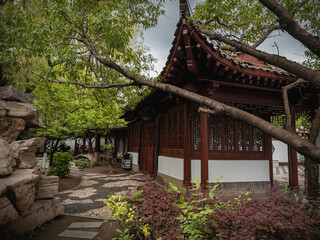 Fototapeta premium Beautiful scenery of the park on a rainy day, Changchun, China
