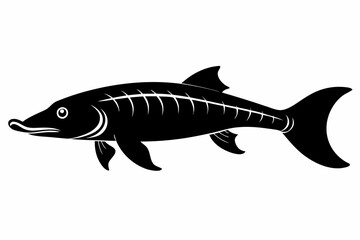 Arapaima fish silhouette vector illustration