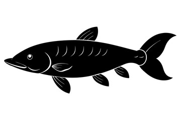  Arapaima fish silhouette vector illustration