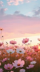 Landscape field of flowers outdoors blossom nature.