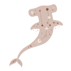 Ocean animal. Boho hammerhead clipart in cartoon flat style. Celestial Sea animal clipart. Hand drawn vector illustration