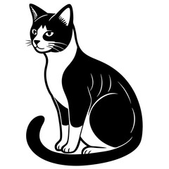black and white cat