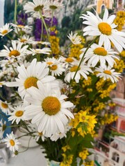 Obraz premium wildflowers in a vase on the table. Daisies and Goldenrod or Lysimachia punctata. Floral wallpaper