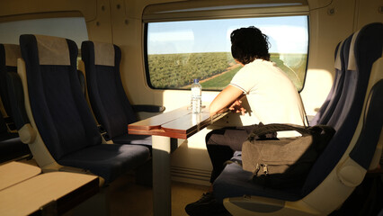 The train as a means of transportation. Train passengers. Travel by train.