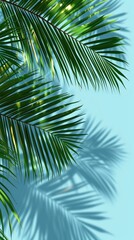 Naklejka premium Palm tree leaf backgrounds outdoors.