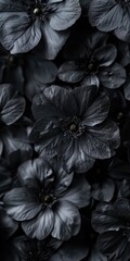Fototapeta premium Black Flowers Concept. Dark and Conceptual Floral Design on Black Background