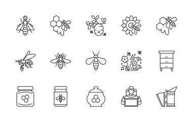 Honey production and beekeeping related icons - queen and worker bee, hive, comb, sunflower, beekeeper, flowers, apiary. Apiculture concept. Linear illustration, editable strokes, minimalist symbol