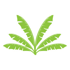 banana leaf design