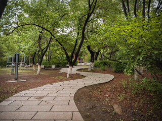 Beautiful scenery of the park, Changchun, China