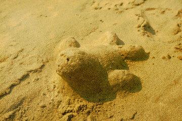 Sand seal sculpture on the beach. Active lifestyle, vacations