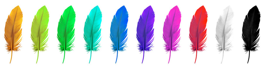 Colorful floating feathers isolated on transparent background