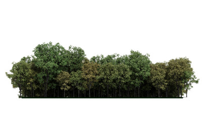 Forest isolated. Image useful for banners nd poster or photo maipulations. 3d rendering.