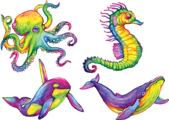 sea animal watercolor vector