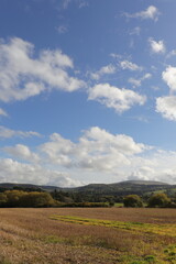 Obraz premium landscape with clouds