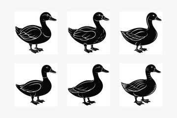 Duck Silhouette Vector Illustration design.