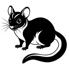 black and white  Mouse silhouette