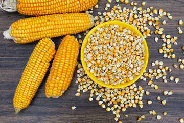 Dried Corn seeds in a plate top view 