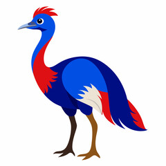Red and blue Emu vector illustration on white background