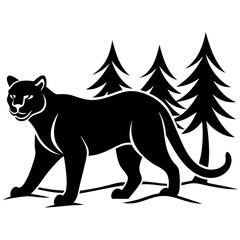 Cougar walk in forest white background