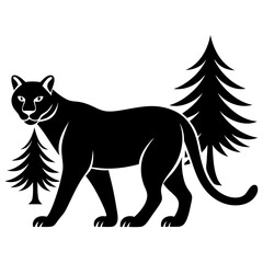 Cougar walk in forest white background