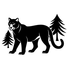 Cougar walk in forest white background