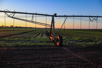 Field with mobile Irrigation system for water supply. Automatic field watering system.