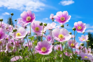 Fototapeta premium Flower nature summer landscape.